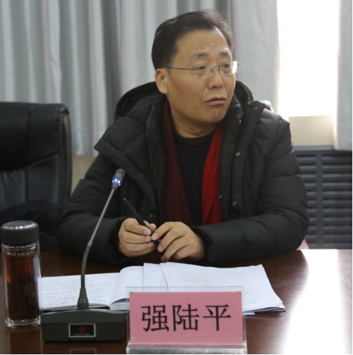 陕西艺术职业学院党委副书记、院长强陆平总结讲话